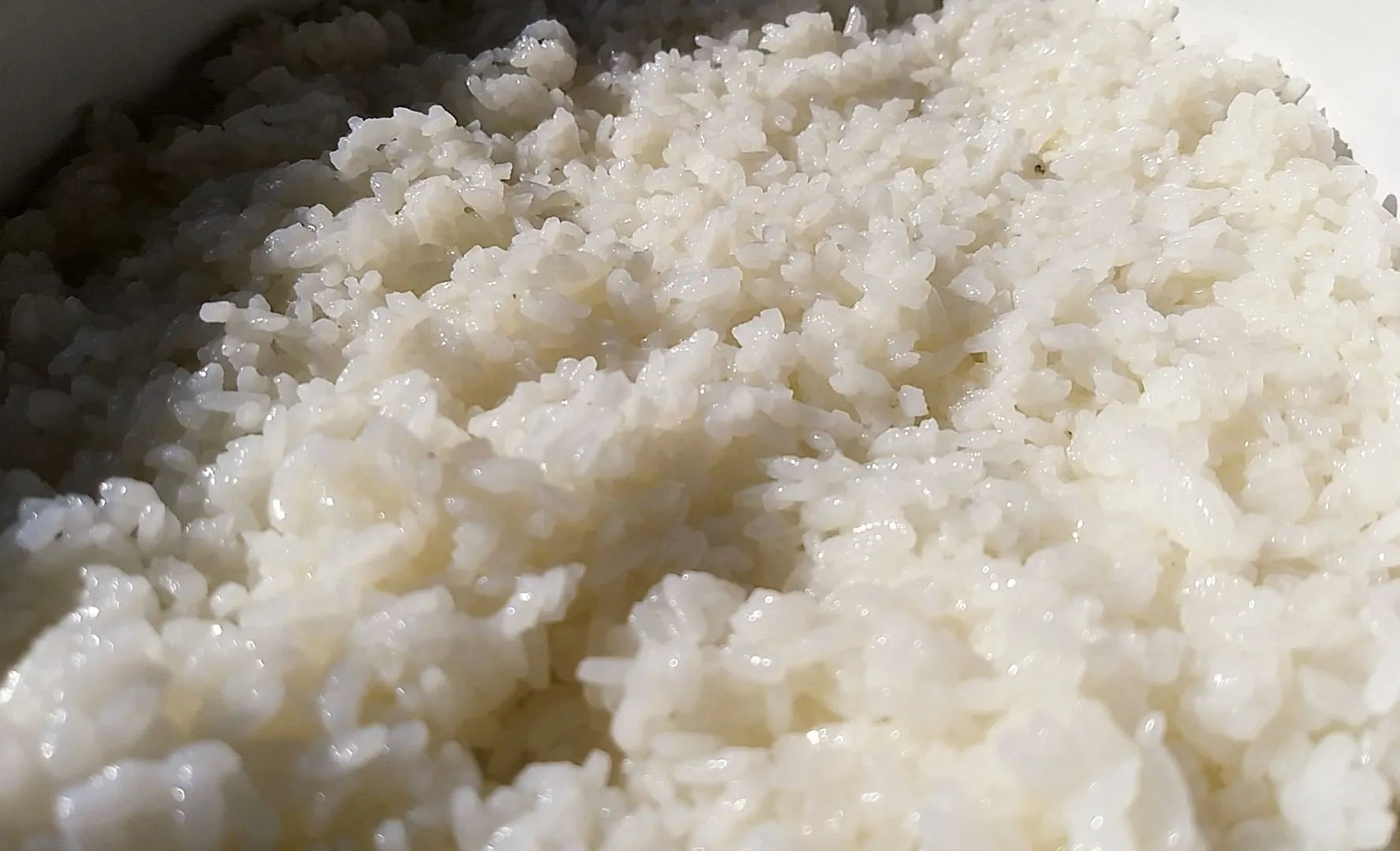 Sushi Rice